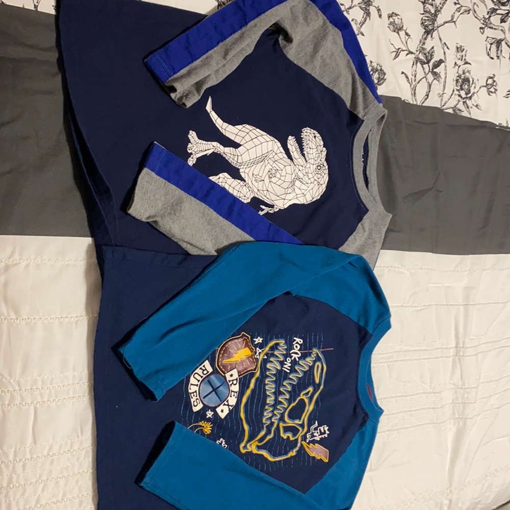Boys Dinosaur Longsleeves